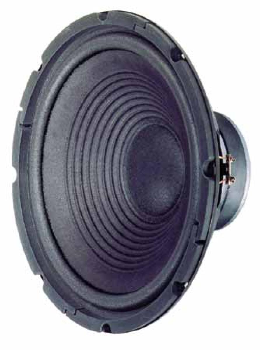 Visaton W300 - 12" Subwoofer